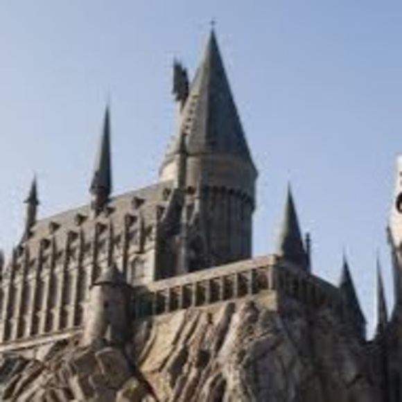 Meet your Posher, Jace - Picture 1 of 1